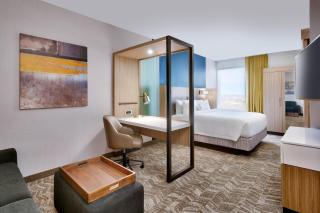Springhill Suites by Marriott Colorado Springs North/Air Force Academy - 3