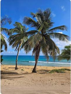 Close to Embassy Hotel, beach, restaurants and nightlife - - 3