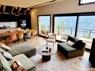Chalet neuf 5 chambres avec sauna et parking, accès direct aux pistes - FR-1-755-29 - Aime La Plagne - 0