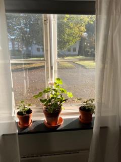 Gårdshus i centrala Kristinehamn - 9