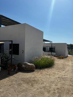 Ocean View, Gorgeous Rooftop, AC, Wifi & Peaceful - Todos Santos - 7