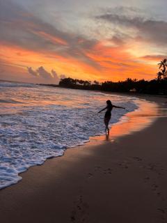 Coconut Palm beach restaurant and rooms - Dickwella - 2