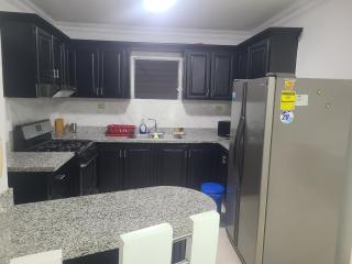 Céntrico con Jacuzzi privado - Santiago de los Caballeros - 4