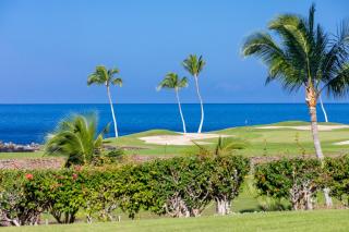 CORAL REEF Lush 4BR KaMilo Home with Heated Pool and Guest Cottage - Waikoloa - 5