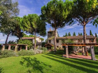 Farmhouse in Marsciano with vineyards olive groves - Marsciano - 9