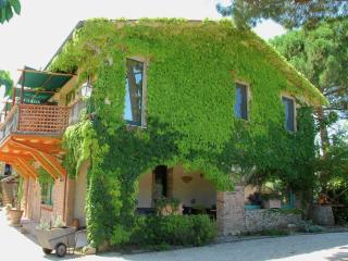 Farmhouse in Marsciano with vineyards olive groves - Marsciano - 1