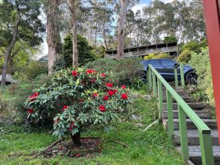 Belgrave Hillside Zen Retreat - 6