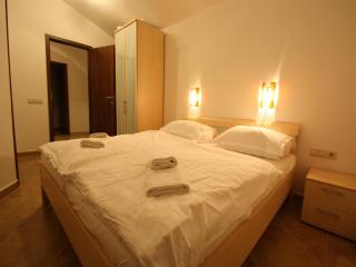 Splendid Holiday Home in Novigrad near sea - 1