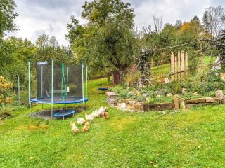 Cozy Apartment in Marktrodach with Sauna - Kronach - 5