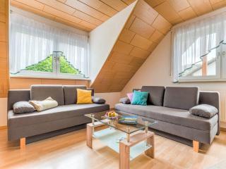 Cozy Apartment in Marktrodach with Sauna - Kronach - 9