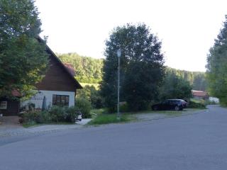 Alluring Apartment in Schönsee in the forest - Schönsee - 3