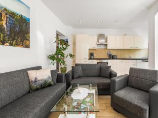 Modern apartment in Sebnitz with a terrace in Sebnitz - Sebnitz - 4