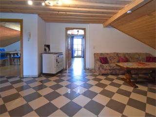 Beautiful apartment in the Bavarian Forest with balcony and whirlpool tub - Waldkirchen - 4