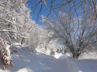 Hill-view Holiday Home in Dankerode near Lake and Hiking - Dankerode - 1