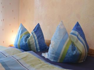 Cosy apartment with covered porch - Finsterbergen - 1