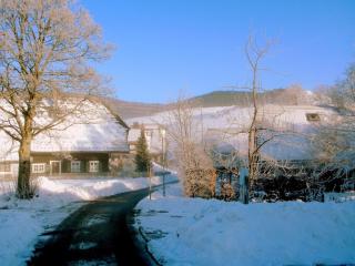 Beautiful apartment in a Black Forest house with conservatory - Bernau im Schwarzwald - 2