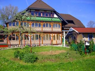 Beautiful apartment in a Black Forest house with conservatory - Bernau im Schwarzwald - 9