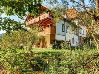 Luxurious Apartment in Heubach Germany in the Forest - Fehrenbach - 4