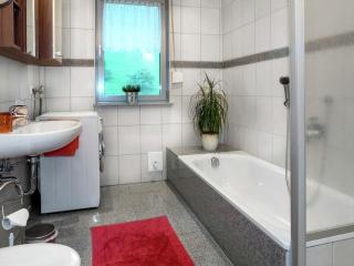 Cosy farmhouse apartment at the edge of the forest - Mühlenbach - 5