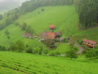 Cosy farmhouse apartment at the edge of the forest - Mühlenbach - 4