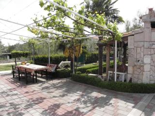 Apartments Andy - Sukošan - 8