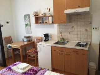 Apartments Andy - Sukošan - 1