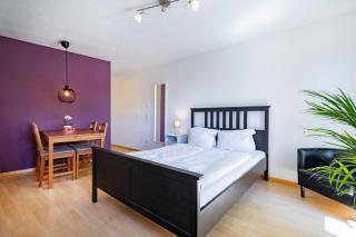 Business Apartment am Hauptbahnhof - Fribourg-en-Brisgau - 8