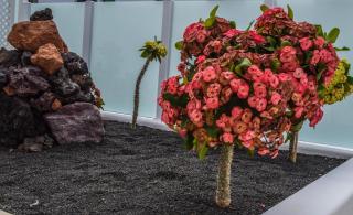 Apartamento Piscis - Puerto del Carmen - 7