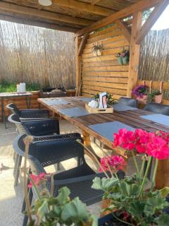 Luxury house Nena Fruška gora - kuća za odmor - Velika Remeta - 8