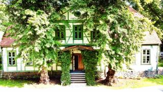 Ferienvilla Jagdschloss Friedrichsmoor - Neustadt-Glewe - 2