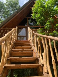 Angry Birds Tree house - Habarana - 9