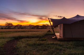 Anantya Serengeti - Serengeti - 9