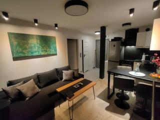 No71 The Luxury Apartment - Głogów - 9