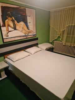 Apartman Katarina Petrovaradin - Petrovaradin - 1