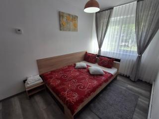 Criss Apartament Central - Deva - 6