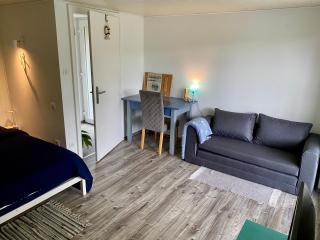 Le Pi'style(chambre,cuisine,salle d’eau,terrasse) - Ingwiller - 9