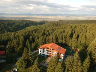 Mountain-Rest Pension - Miercurea Ciuc - 0