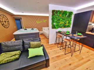 RELAX SPA-4 Pers-Jacuzzi-Parking-Jardin-Clim-Colmar - Muntzenheim - 9