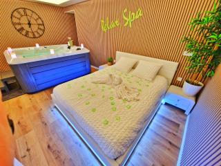 RELAX SPA-4 Pers-Jacuzzi-Parking-Jardin-Clim-Colmar - Muntzenheim - 5