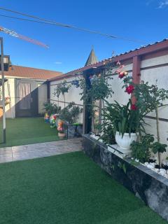 Hotel NICE HOME - Tbilisi - 0