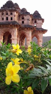 Ashwini home stay hampi - Hampi - 9