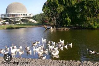 Palermo Nuevo para una excelente estadía - Buenos Aires - 3
