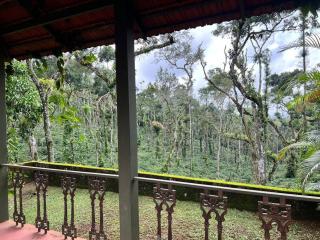 Misty Woods Homestay - Best homestay in Chikmagalur - Aldūr - 7
