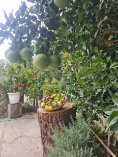 B&B CASA VACANZA Cioffi - Vico Equense - 6