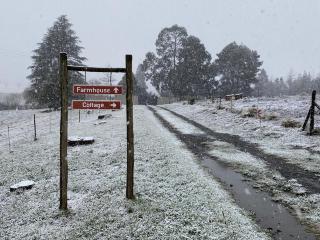 Fairfax Farmhouse - 5