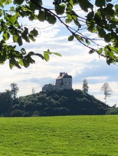 Am Kohlenberg - Waldburg - 5