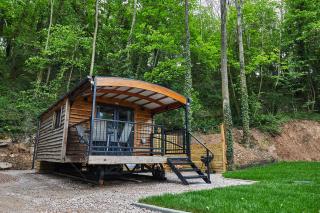 Wildwood Quarry Retreat - Mold - 2