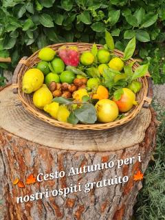 B&B CASA VACANZA Cioffi - Vico Equense - 8