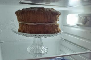 Glamping Cabin - Great for Hikers - Breakfast inc! - Swanage - 3