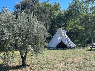 Le tipi Naskapi - Trans-en-Provence - 9